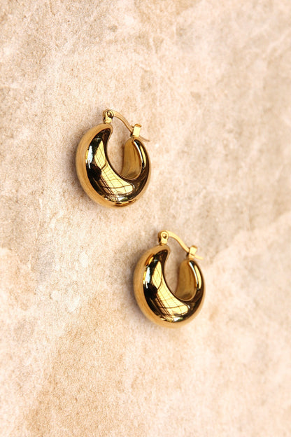 Essentials Loft™ | Forte Hoop Earrings